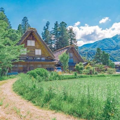 im电竞官方网站手机app下载截图